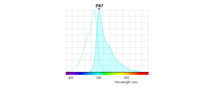 PKH67荧光光谱.png